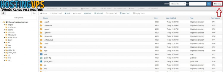 Hướng dẫn sử dụng host CPanel Cơ bản ( Phần 1)